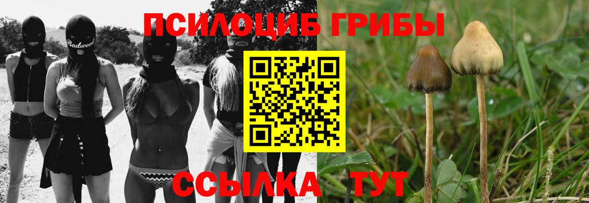 Кубинка  Псилоцибиновые грибы мицелий  Вход с VPN  Псилоцибиновые грибы мицелий 