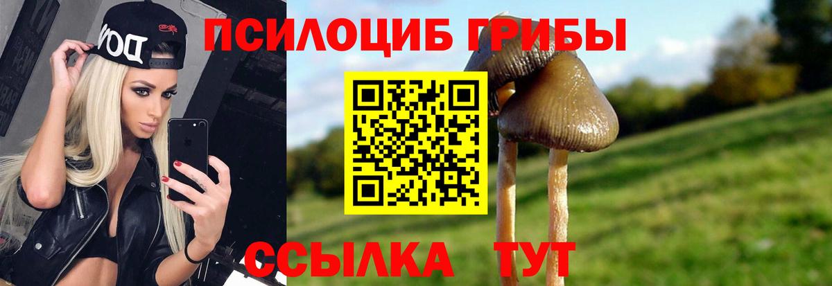 Галлюциногенные грибы Psilocybine cubensis Кубинка